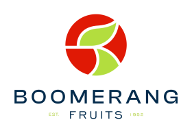 BOOMERANG FRUITS LOGO